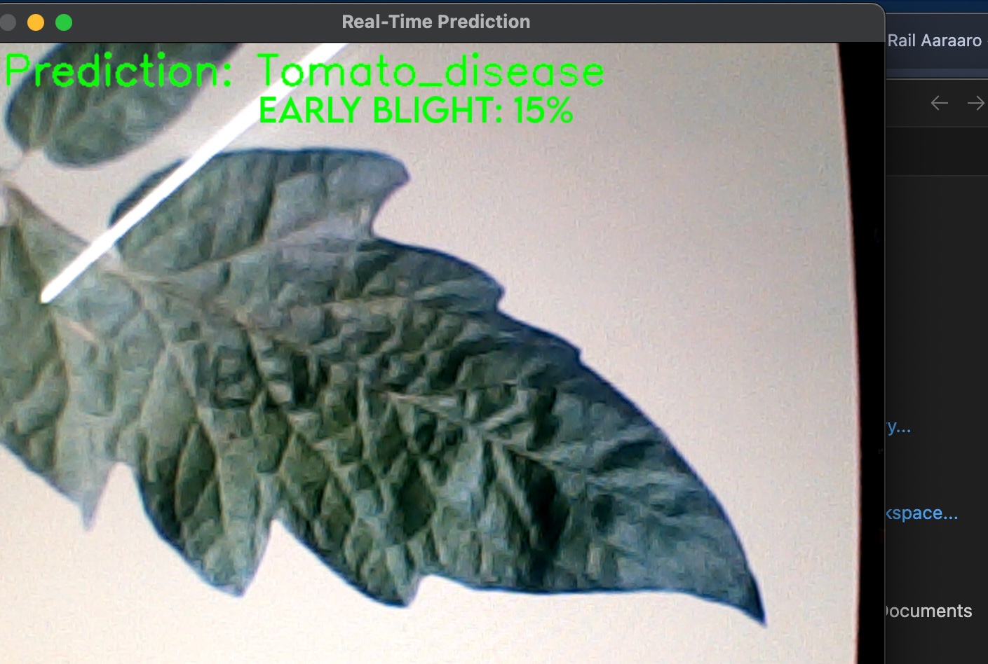Real-Time Tomato Disease Prediction